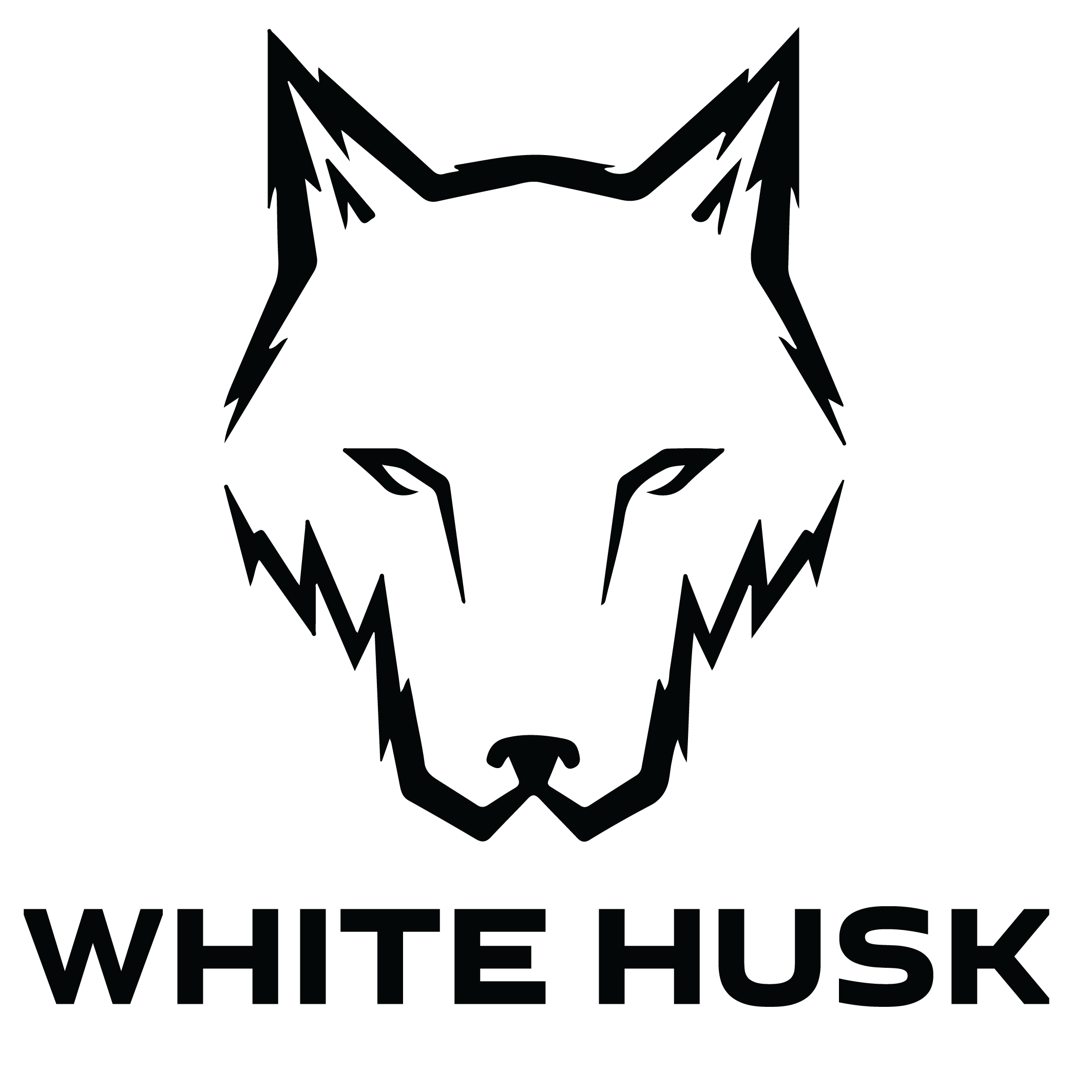 Luffy Gear 5 Tshirt White Husk