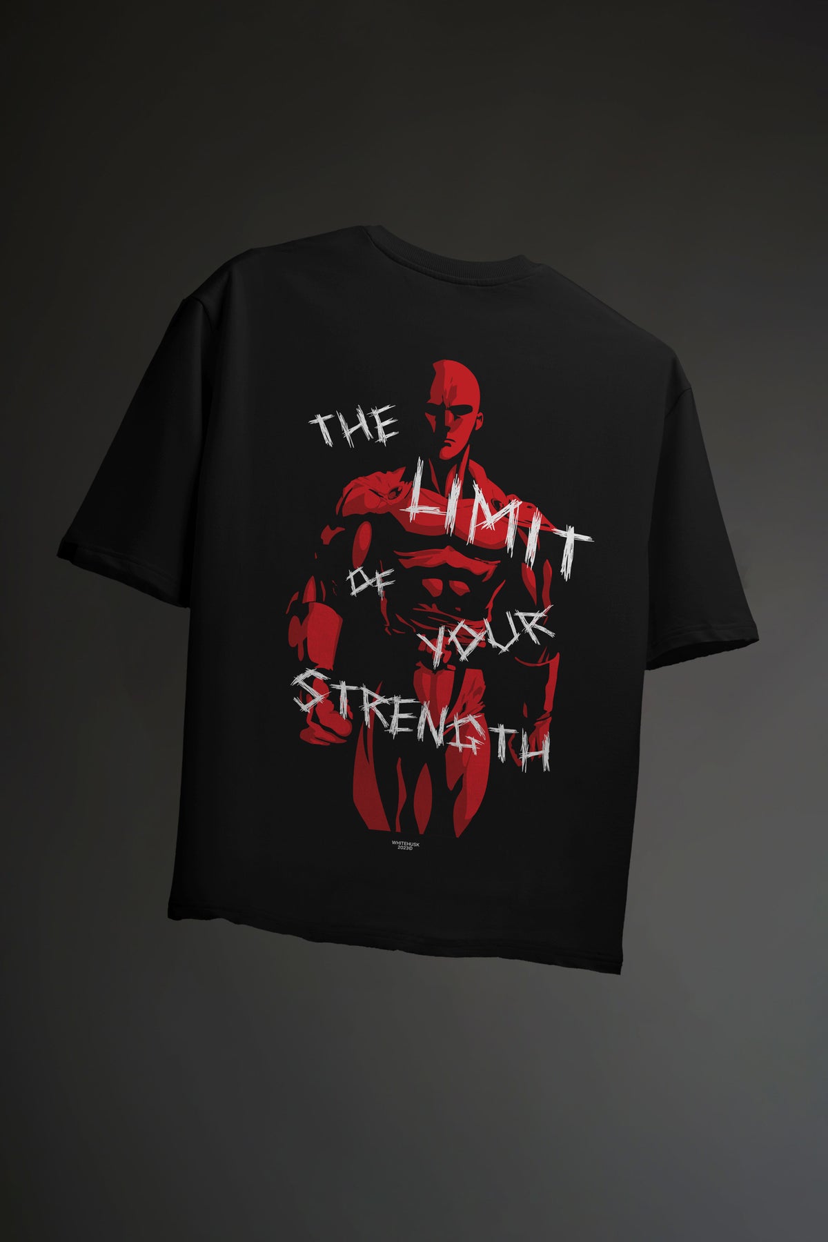 Absolute Limit - Oversized Tshirt